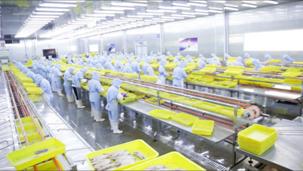 電子商務(wù)中的消費者權(quán)益保障 挑戰(zhàn)與應(yīng)對